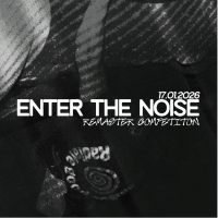ENTER THE NOISE