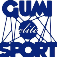 Dart Debiutant Open Gumi Elite Sport