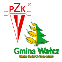 VI Mistrzostwa Szkół Gminnych na Ergometrach Kajakowych