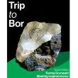 Trip to Bor 