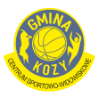 Halowa Liga Skrzatów Żaków i Orlików