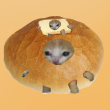 7755